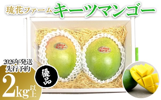 【2026年発送先行予約】キーツマンゴー優品2kg以上 沖縄 おきなわ まんごー 優品 家庭用 先行予約 ふるさと納税 送料無料 甘味 糖度 おいしい お土産 キーツ 果物 くだもの 果実 ２キロ 箱入り 食べ物 フルーツ 1553787 - 沖縄県名護市