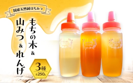 はちみつ もちの木／山みつ／れんげ 各250g×3 セット 蜂蜜 3種 2295963 - 福岡県小郡市