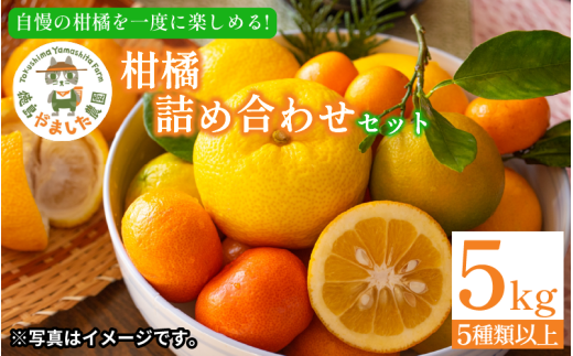 【2026年1月下旬順次発送】 柑橘 詰め合わせ5種以上 5kg しらぬい きよみ はるか 文旦 はっさく みかん レモン スイートレモネード  詰め合わせ  フルーツ 果物 お取り寄せ 人気 国産 2297102 - 徳島県小松島市