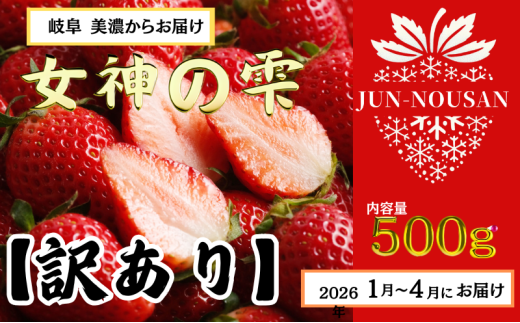 [訳あり]「今までで1番うまい」とグルメ家がうなったイチゴ[女神の雫] 2026年1月 2月 3月 4月 450g 岐阜県 美濃市 じゅん農産 訳アリ 苺