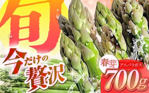 春芽 アスパラガス 700g アスパラ【けいちゃん農園】 [HCC005] アスパラ アスパラガス あすぱら あすぱらがす 野菜