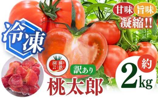 冷凍桃太郎トマト 2kg | トマト 冷凍トマト 訳あり 2キロ 旬 熊本県 玉名市 2278428 - 熊本県玉名市