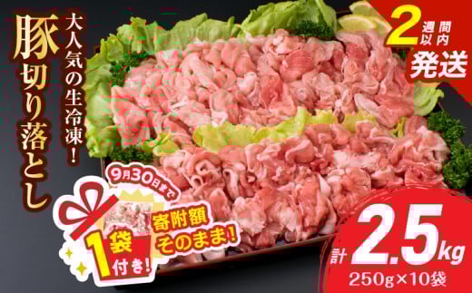 【9/30まで!!】大人気 生冷凍 厳選 豚切り落とし 計2.5kg 豚肉 おすすめ 国産 食品 焼肉 肉じゃが 豚汁 野菜炒め おかず お弁当 晩ご飯 グルメ 小分け 個包装 真空パック おすそ分け お取り寄せ 新鮮 万能食材 宮崎県 日南市 送料無料_CV5-25-ZO-2W 2154351 - 宮崎県日南市