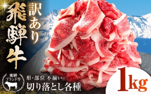 【訳あり】 飛騨牛 切落とし 1kg(500g×2パック) 多治見市 / 飛騨高山ミート MZ035 冷凍 真空パック ブランド和牛 [THP026]