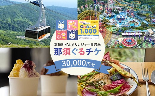 那須町グルメ＆レジャー共通券「那須ぐるチケ」30,000円分〔G-59〕