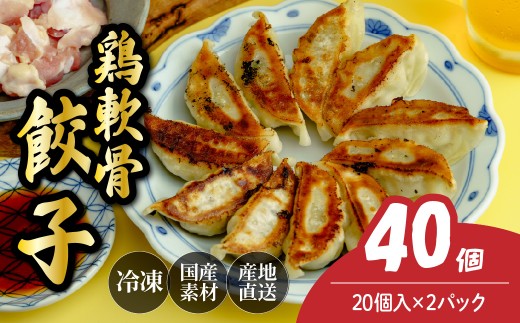鶏軟骨餃子20個×2箱 餃子 40個 人気店の旨味あふれる冷凍餃子 | 大容量 ギョウザ 冷凍餃子 ギョーザ 冷凍ギョウザ 冷凍 冷凍ぎょうざ ぎょうざ ぎょーざ おいしい 手軽 食べ比べ 美味しい おつまみ 国産野菜 中華 簡単調理 惣菜 北本フーズ 埼玉県 北本市