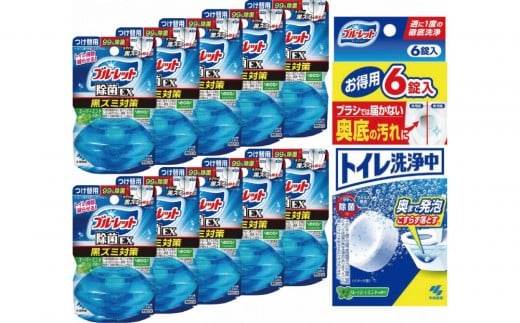 液体ブルーレットおくだけ除菌ＥＸスーパーミント　付替え用10個＆トイレ洗浄中(6錠)×1　詰め替え 詰替え 付け替え 付替え 1626883 - 富山県富山市