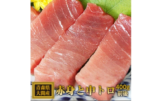 大間産本マグロ 赤身と中トロセット 各200g前後(合計400g前後)【1657765】