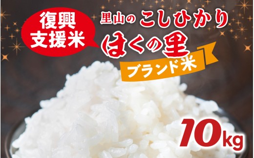 【災害・復興支援】【先行予約】里山のこしひかり ほくの里 10kg × 1袋【11月配送】 2268367 - 石川県かほく市