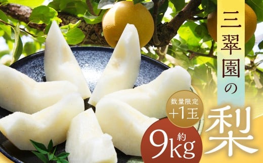 【数量限定】 三翠園の梨 9.0kg+1玉 【2025年12月上旬迄順次発送予定】 梨 なし ナシ 果物 果実 フルーツ 幸水 豊水 二十世紀 あきづき 新高 新興 九州 福岡県 嘉麻市 冷蔵