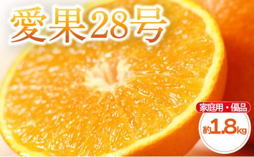[先行予約] 柑橘 愛果28号 家庭用(優品) 約 1.8kg 4-9玉 / L-4L | 紅まどんな と同品種 あいか28号 みかん 蜜柑 mikan 檸檬 オレンジ おれんじ かんきつ [2025年11月中旬頃から発送予定] 愛媛県 松山市 ココオ Koko'o