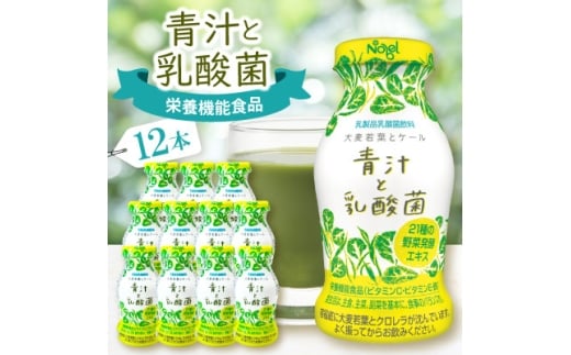 青汁と乳酸菌　12本セット【1664199】