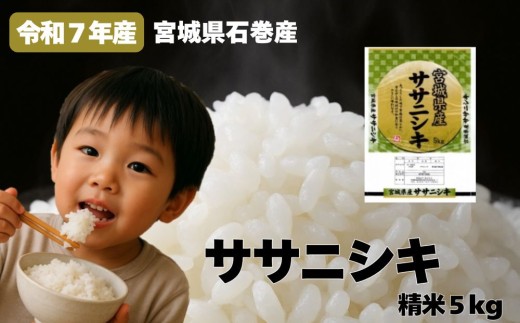 米 令和7年産 ササニシキ 精米 5kg 新米 お米 ごはん ご飯 飯 5キロ 単一銘柄米 主食 こめ コメ 家庭用 美味しい ブランド米 あっさり 食感 ささにしき おにぎり おかゆ 送料無料 宮城県 石巻 石巻市 2294585 - 宮城県石巻市