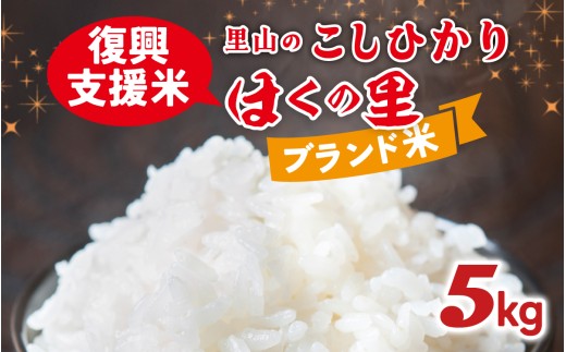 【災害・復興支援】【先行予約】里山のこしひかり ほくの里 5kg × 1袋【11月配送】 2268360 - 石川県かほく市