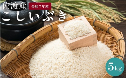 佐渡島産　こしいぶき　5kg　令和7年産 1515684 - 新潟県佐渡市
