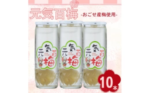 元気百梅　10本入り【1640863】