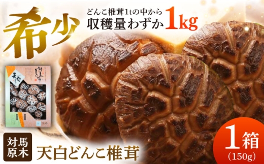 対馬 原木 天白どんこ椎茸 1箱（150g）《対馬市》【うえはら株式会社】 対馬産 肉厚 しいたけ 乾燥 きのこ [WAI119]