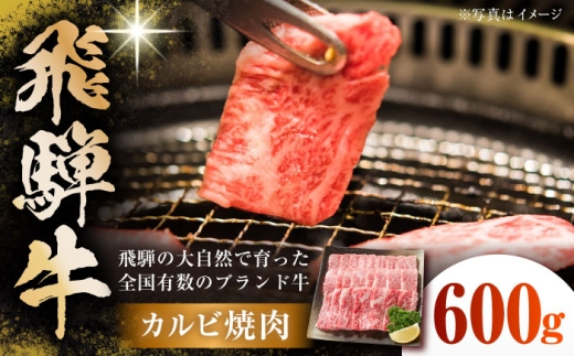 飛騨牛 カルビ焼肉 600g(150g×4パック) 小分け 多治見市 / 飛騨高山ミート MZ005 [THP005] 2294884 - 岐阜県多治見市