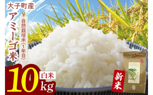 【先行予約】【11月中旬より順次発送予定】令和7年産 新米 10kg アミーゴ米 【白米】（コシヒカリ・天日干し米・自然栽培米 （1年目））｜茨城県 大子町 袋田 米 精米 おだがけ米 はざがけ米 いねかけ米 先行予約 農福連携 数量限定 10キロ（CA017)