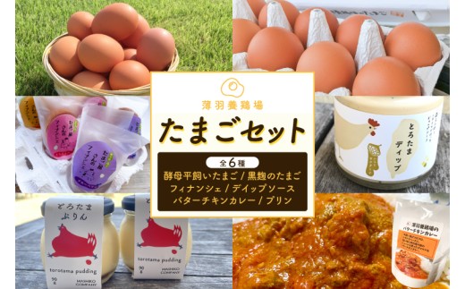 ＼薄羽養鶏場の濃厚たまごを使用／たまごセット 合計6点セット｜栃木県 益子町 ふるさと納税 たまご 卵 タマゴ 平飼い 酵母平飼いたまご 人気 濃厚 食べチョク カレー チキンカレー プリン とろたまぷりん フィナンシェ 焼き菓子 ディップソース  (BC009)