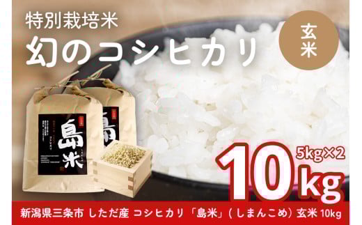 新米 新潟県特別栽培米 コシヒカリ10kg 玄米「島米(しまんこめ)」三条市 下田 令和7年産 コシヒカリ  [農事組合法人島川原]【030S101】