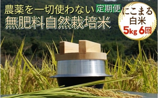 米 定期便 令和7年産 自然栽培米 にこまる ＜農薬を一切使わない無肥料栽培＞ 白米 5kg×6ヶ月 30kg（精米したて） 《新米 京都丹波産 無農薬米栽培向き 厳選品種 6回お届け》