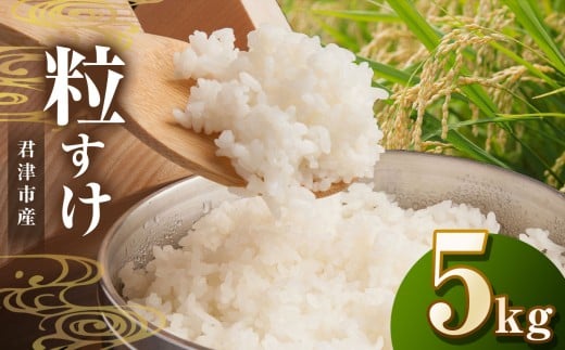 新米 【令和7年産】君津市産 粒すけ（精米）5kg | JA さだもと 米 こめ お米 おこめ 白米 精米  千葉県 君津市 きみつ 1467878 - 千葉県君津市