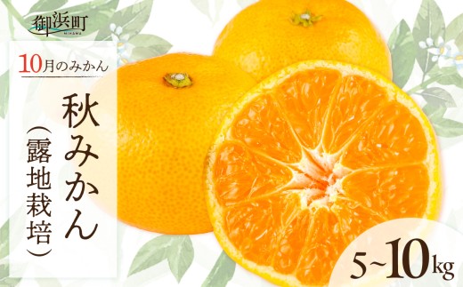 10月の御浜柑橘 秋みかん5〜10キロ[先行予約 期間限定 果物 フルーツ みかん 極早生みかん 極早生 5kg 〜 10kg 露地栽培 三重県 御浜町]