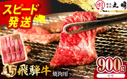 飛騨牛 モモ 900g 焼肉用 多治見市 / 飛騨牛の丸明 冷凍 和牛 赤身 霜降り 
