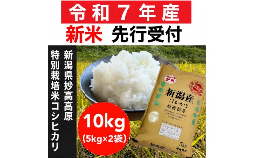 【令和7年産新米・先行予約】新潟県妙高高原減農薬特別栽培米コシヒカリ 10kg（5kg×2袋）【10月下旬から11月上旬発送予定】 1030709 - 新潟県新潟県庁
