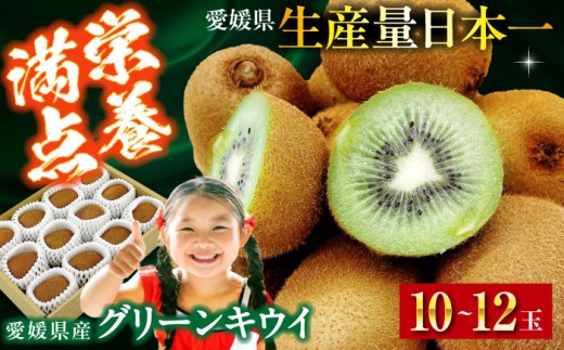 [先行予約][2026年1月中旬から順次発送]グリーンキウイ 10玉〜12玉入 愛媛県大洲市/株式会社フジ・アグリフーズ[AGBA016] 先行予約 キウイ キウイフルーツ 果物 くだもの フルーツ 愛媛県産 産地直送 おすすめ 人気 お取り寄せ 送料無料 贈答 ギフト