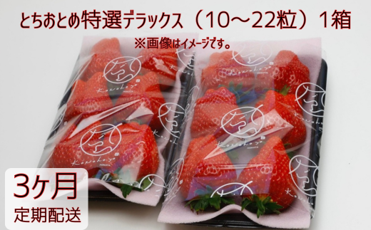 [3ヶ月定期便]いちご 「とちおとめ特選デラックス」1箱/10〜22粒入×3回 苺 イチゴ とちおとめ 選べる 発送月 発送回数 個数 いちご「とちおとめ」風早いちご園 有名ホテル使用 厳選 フルーツ 果物 季節限定 甘い 濃厚 ジューシー 新鮮 1箱 送料無料 ギフト 贈答 茨城県 鉾田市 野菜王国 予約受付