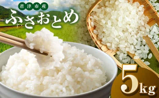 新米 【令和7年産】君津市産ふさおとめ（精米）5kg | JA さだもと 米 こめ お米 おこめ 白米 精米  千葉県 君津市 きみつ 1467882 - 千葉県君津市