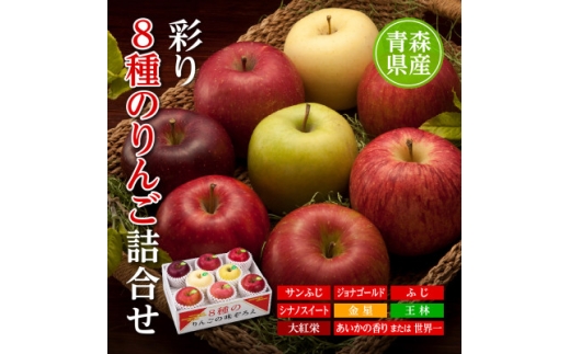 りんご/青森県産　彩り8種のりんご詰合せ【1655324】