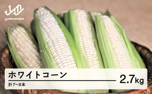 《先行予約》2026年 山形県産 ホワイトコーン 2.7kg(7～9本）生で味わう 白とうもろこし トウモロコシ コーン 夏 野菜 やさい ※沖縄・離島への配送不可  F21A-244 567287 - 山形県山辺町