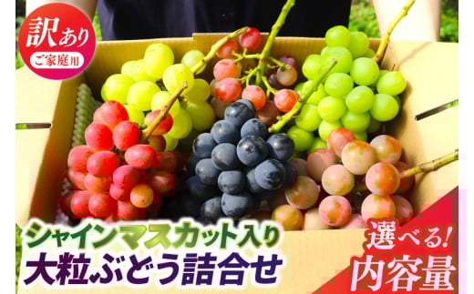 ＼訳あり ご家庭用／【A. おまかせ3品種以上】大粒ぶどう（種なし）詰合せ 合計 4～6房入（2.3kg程度) (DM004)