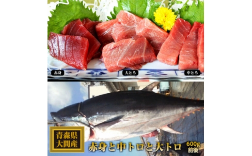 大間産本マグロ 3種セット(大トロ・中トロ・赤身) 合計600g前後【1657767】