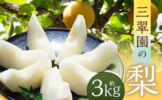 三翠園の梨 3.0kg