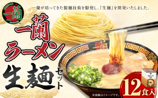 一蘭ラーメン生麺セット （12食入）