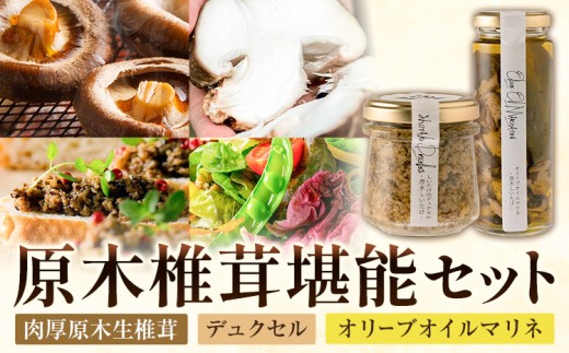 肉厚原木生椎茸 500g・しいたけのデュクセル 2本・オリーブオイルマリネ 1本 セット
