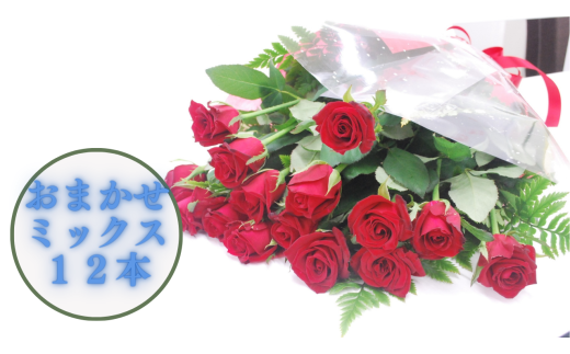 [生産者直送]バラの花束(花色おまかせミックス12本程度)長さ60㎝未満 薔薇 花束 プレゼント 記念日 フラワーアレンジメント