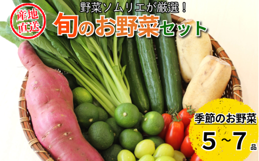 旬のエシカル野菜5〜7種セット 野菜 おまかせ 新鮮 採れたて 産地直送 やさい とうもろこし トマト 減農薬 きのこ オクラ 玉ねぎ 美味しい 小松島市