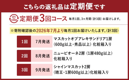 【3回定期便】 マスカットオブアレキサンドリア ニューピオーネ 晴王