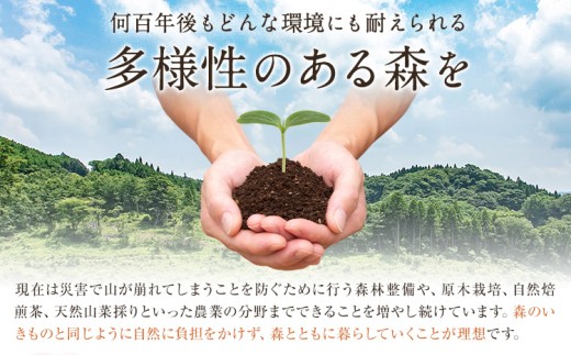 肉厚原木生椎茸 500g・しいたけのデュクセル 2本・オリーブオイルマリネ 1本 セット