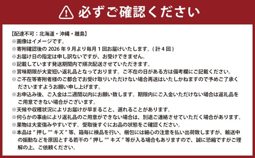 【4回定期便】ニューピオーネ・晴王・紫苑・あたご梨