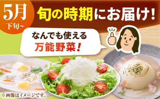 玉ねぎの名産地！佐賀県白石町からお届け！