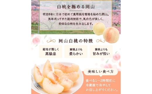 白桃 8玉（2kg以上） 等級：ロイヤル 化粧箱入り