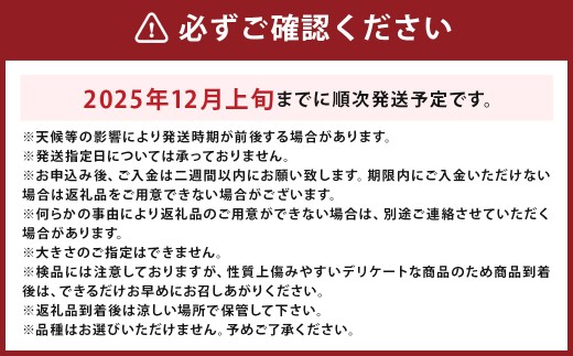三翠園の梨 3.0kg
