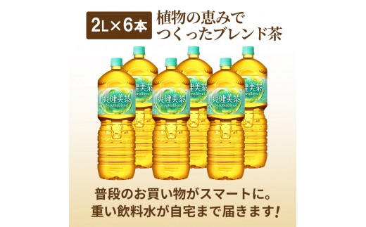 『定期便：全4回』爽健美茶2L×6本