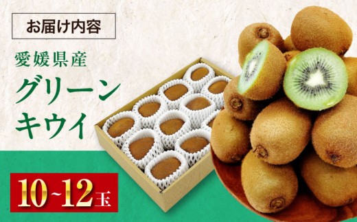 キウイ フルーツ 愛媛県産 かき氷 果物 スムージー おやつ ジュース キウイフルーツ 手作りスイーツ デザート 手作りお菓子